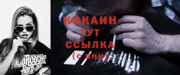 эйфоретик Богданович