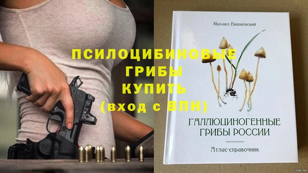 мет Богородицк