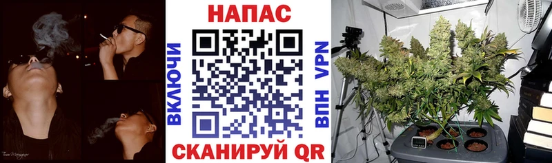 Марихуана ГИДРОПОН  Купить закладки  Ессентукская 